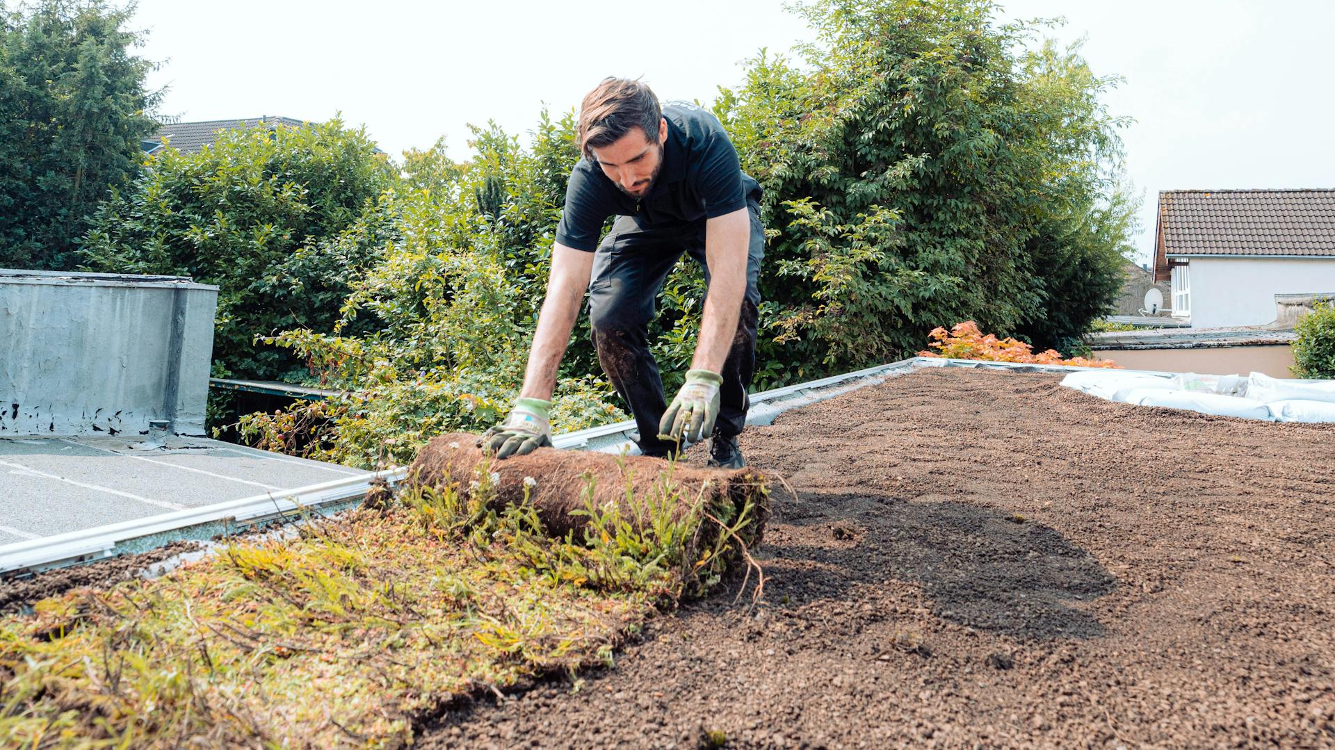 Installation von Vegetationsmatten zur Dachbegruenung