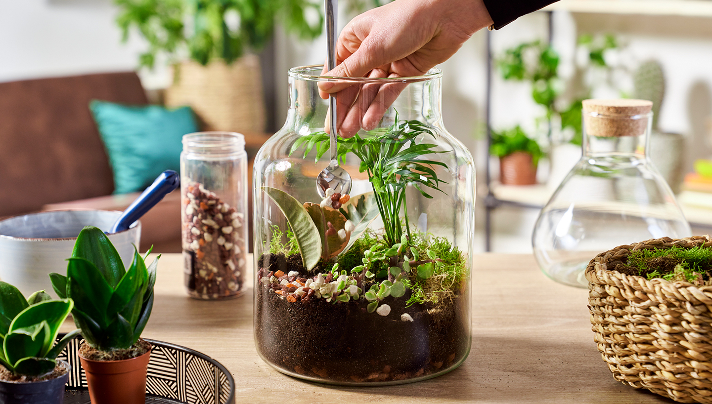 Un giardino in bottiglia è una straordinaria idea per il fai da te