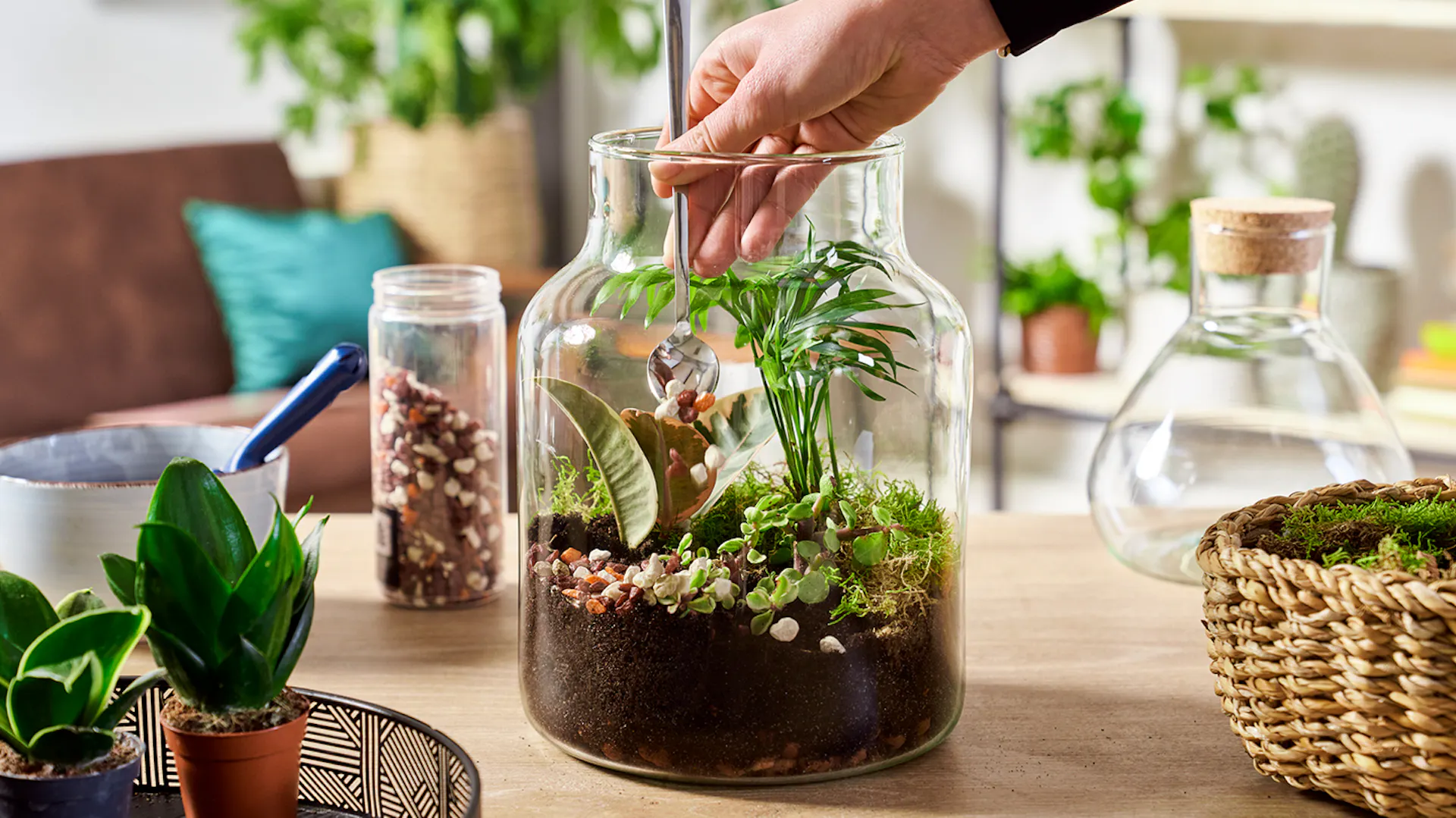 Un giardino in bottiglia è una straordinaria idea per il fai da te