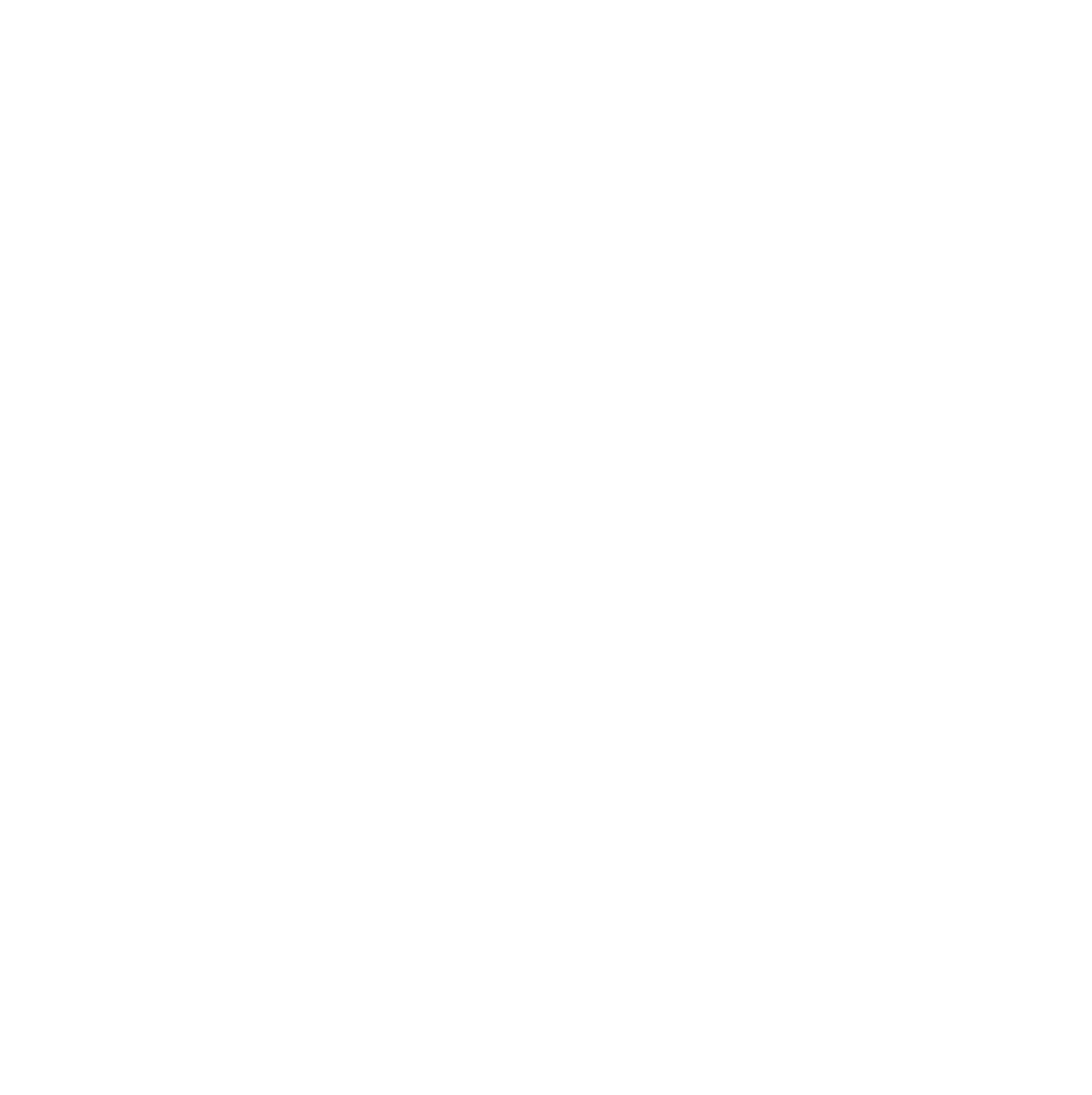 Baumit Logo