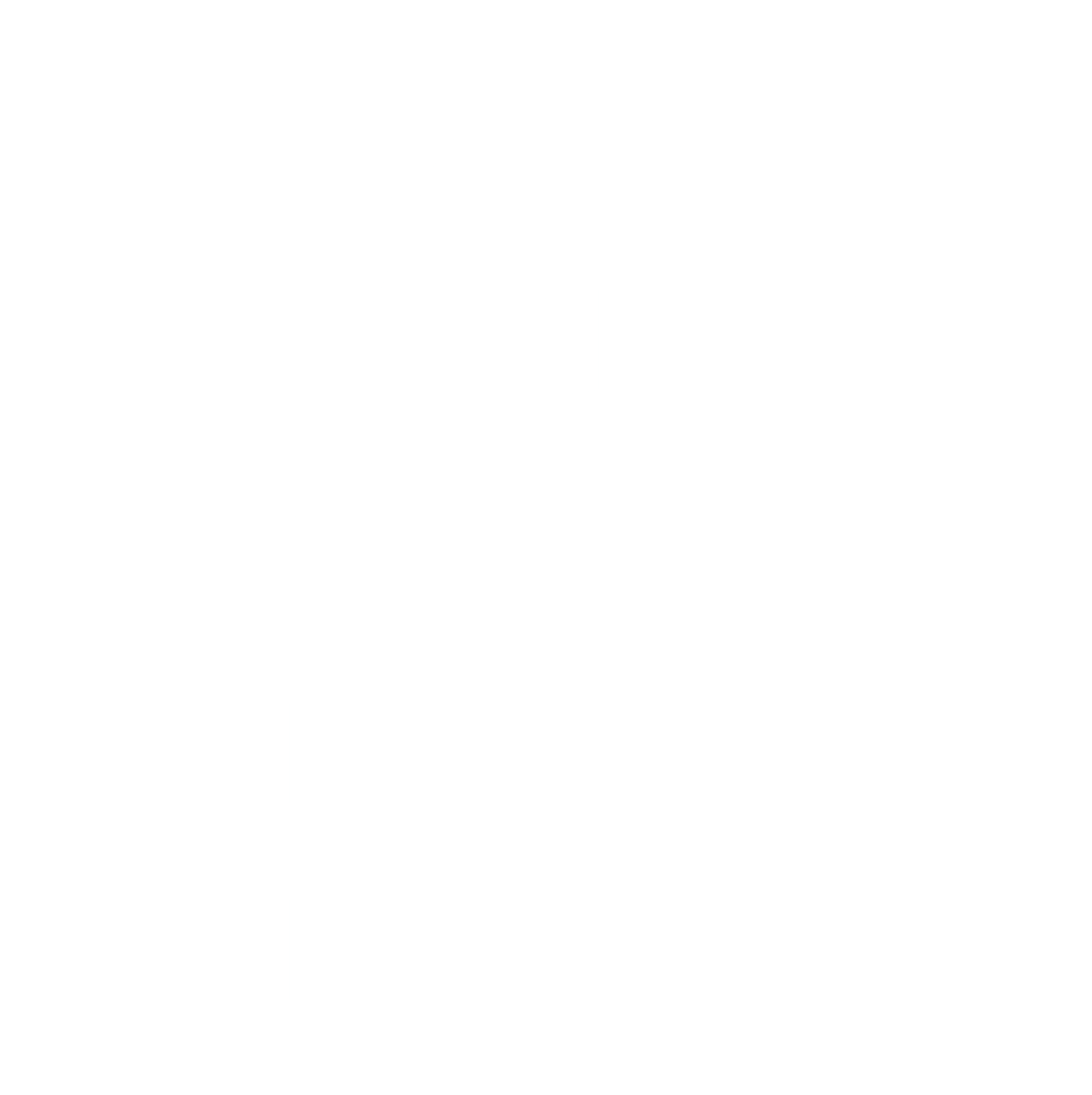 Baumit Logo