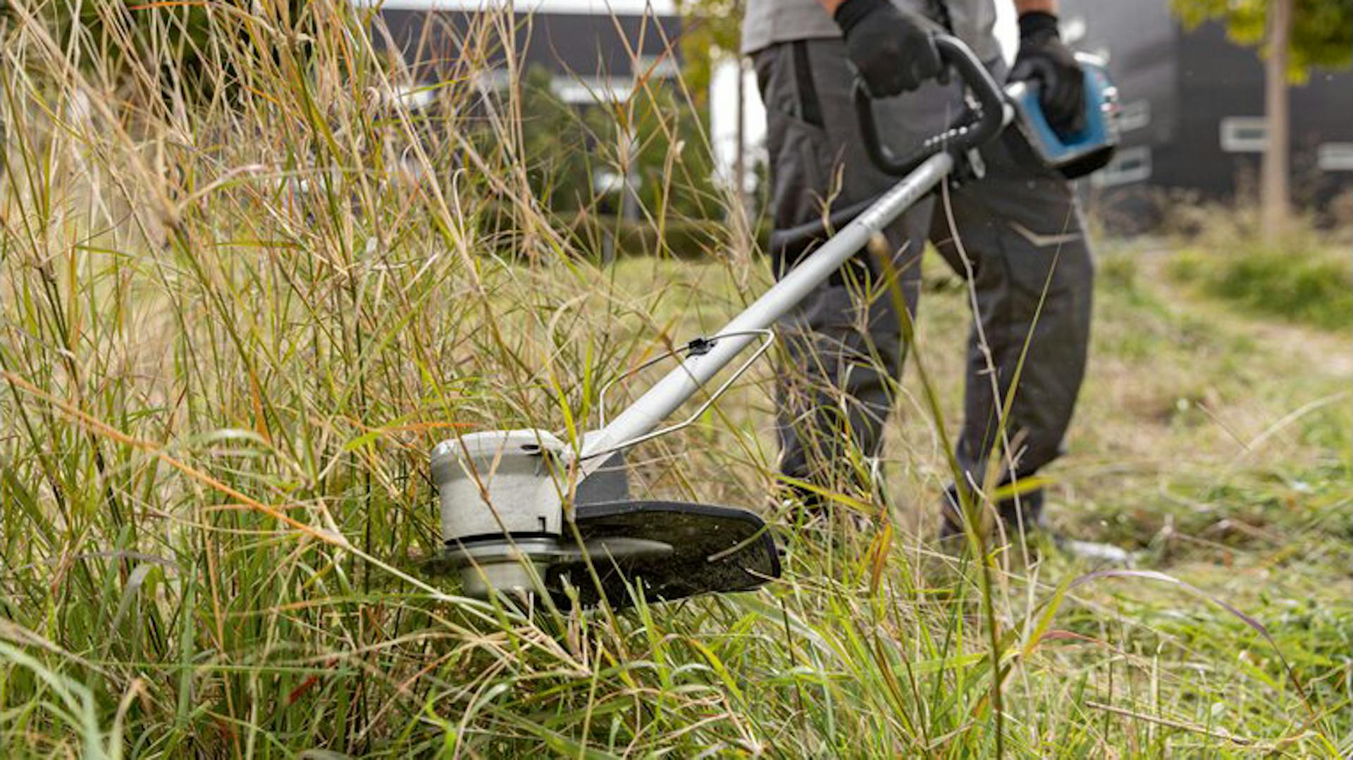 Bosch Professional Trimmer für schnellere und glattere Schnitte