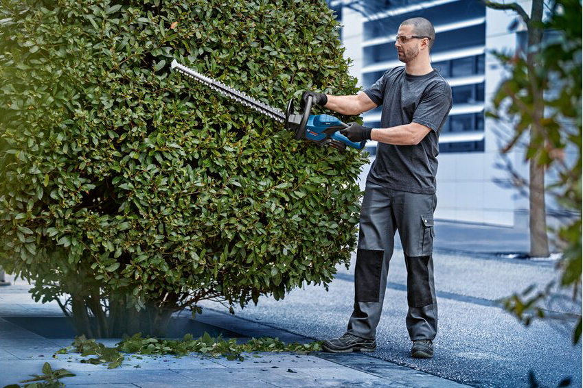 Ein Mann nutzt die Bosch Professional Heckenschere