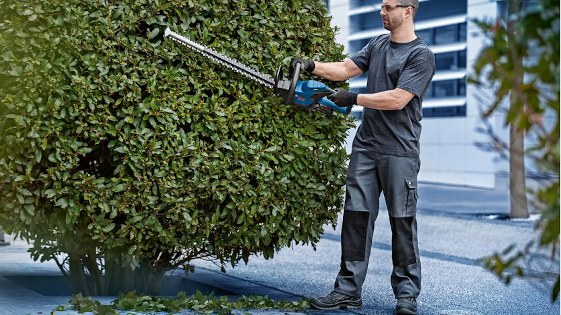 Ein Mann nutzt die Bosch Professional Heckenschere