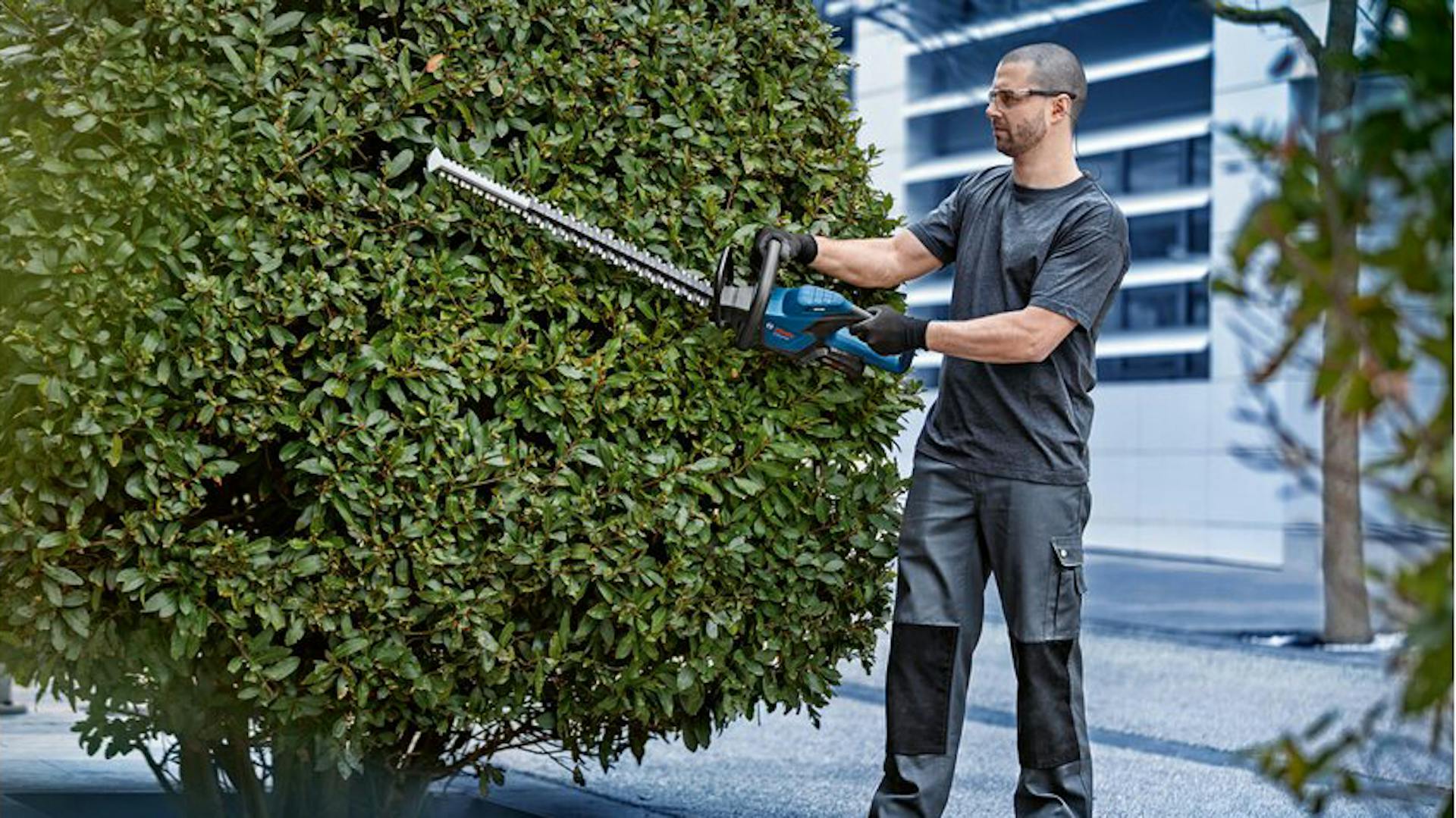 Ein Mann nutzt die Bosch Professional Heckenschere
