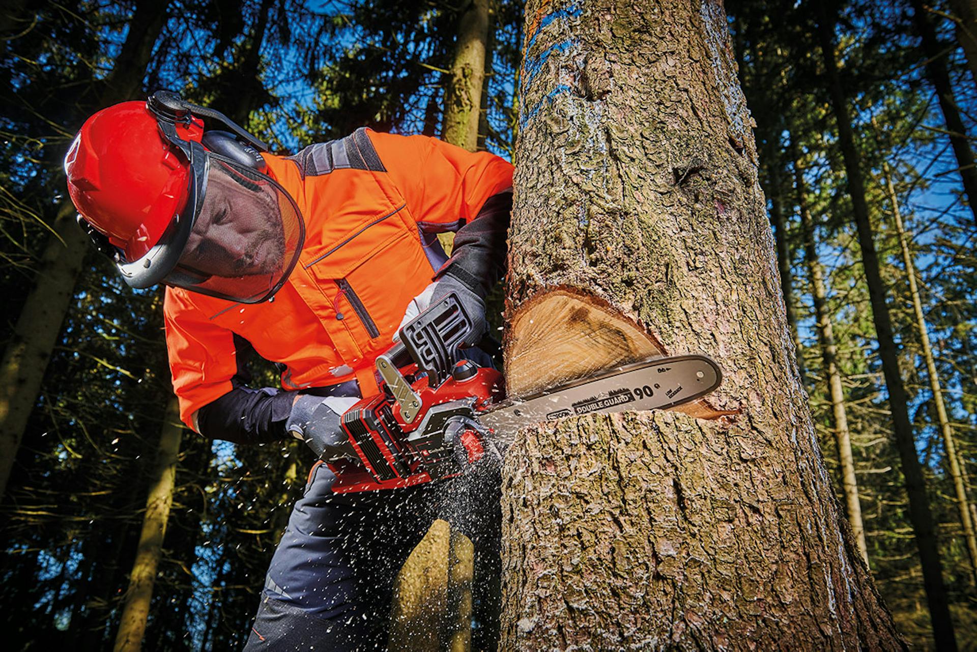 Mann fällt Baum mit Einhell Kettensäge