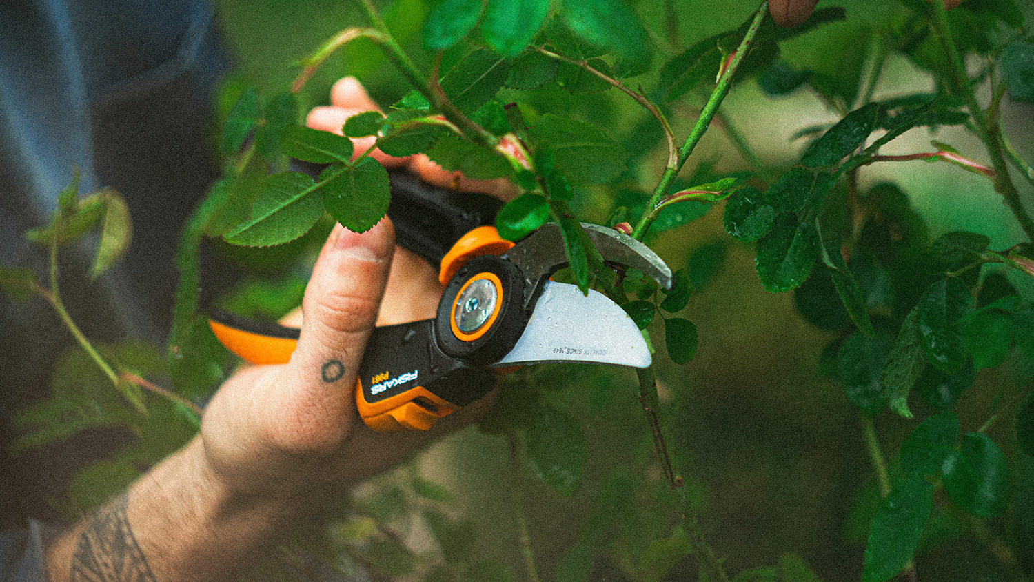 Fiskars Heckenschere im Einsatz