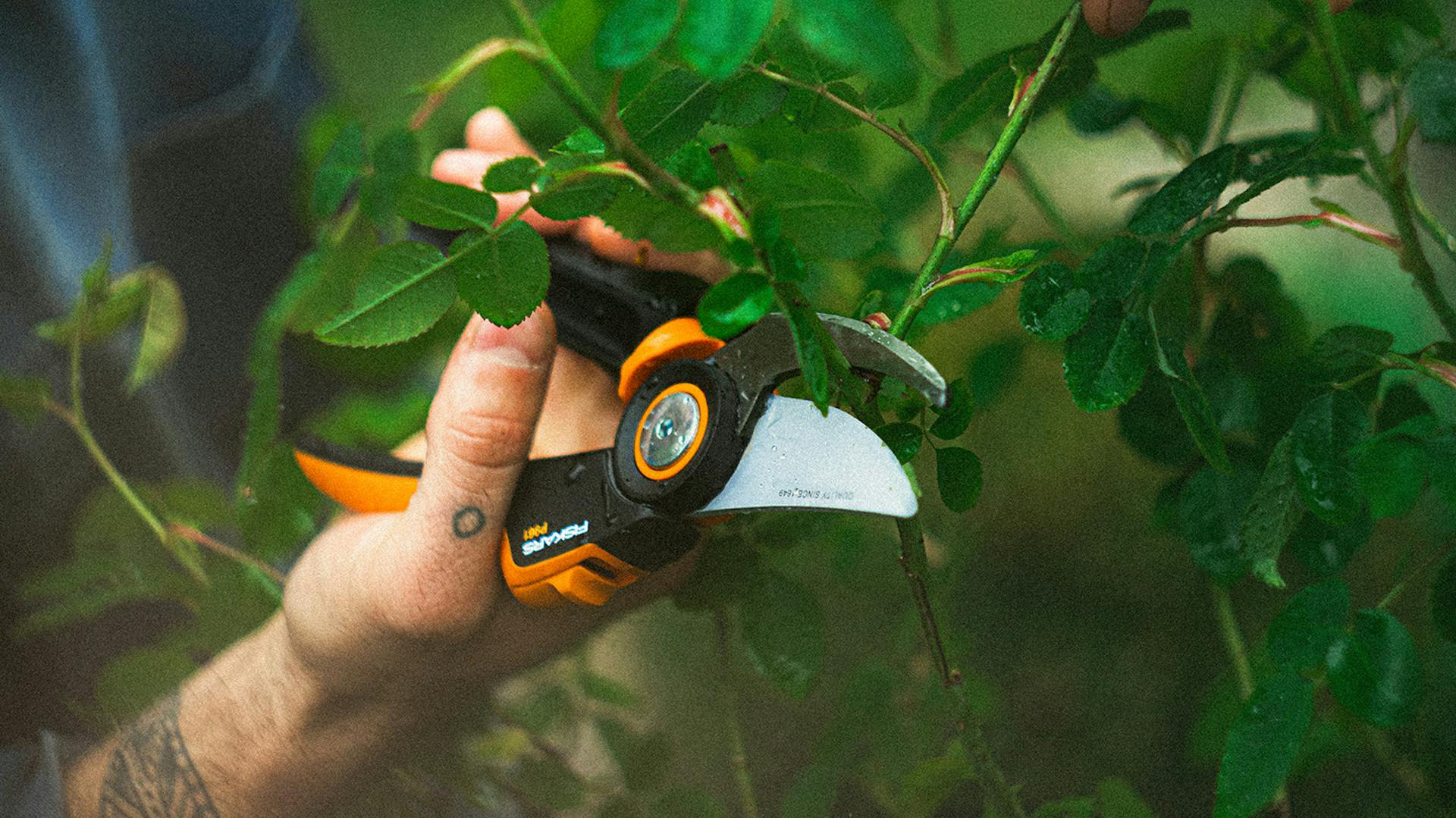 Fiskars Heckenschere im Einsatz