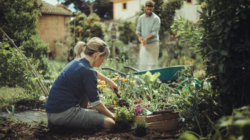 Eine Frau bei der Beetpflege