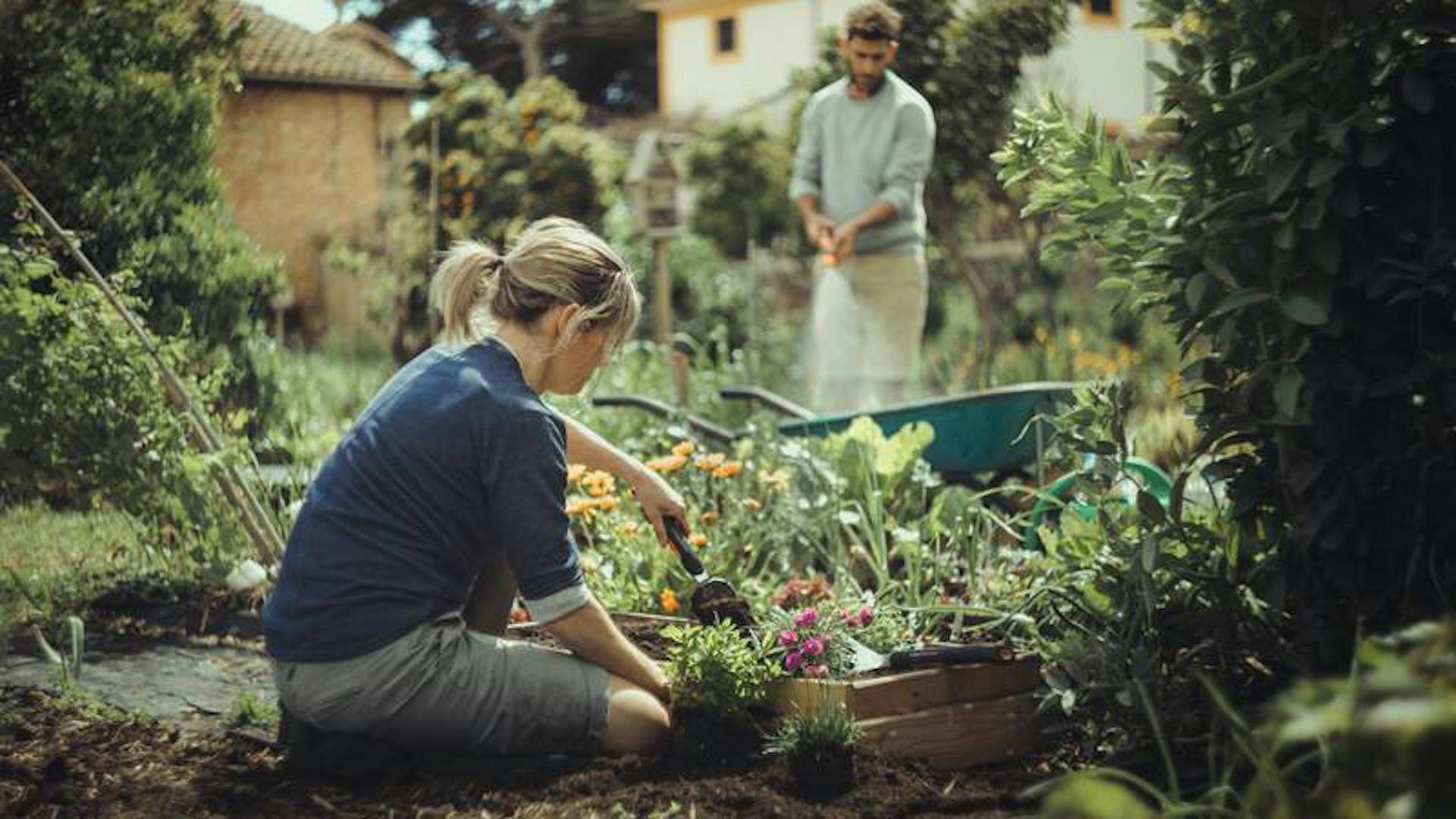 Eine Frau bei der Beetpflege