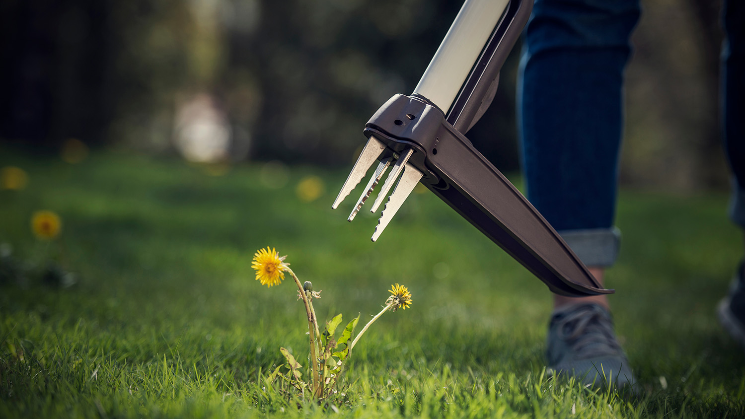 Fiskars Unkrautentferner