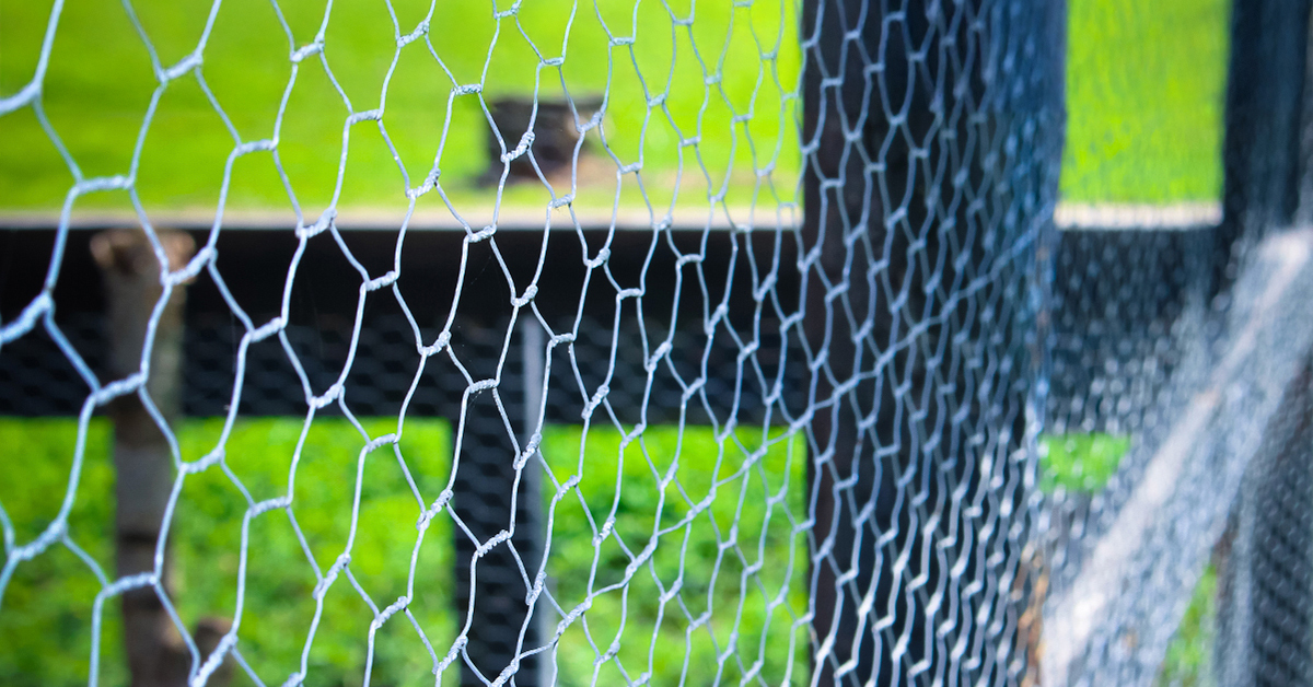Drahzaun im Garten auf Rasen