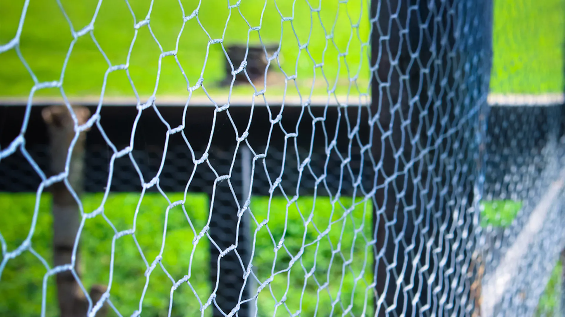 Drahzaun im Garten auf Rasen