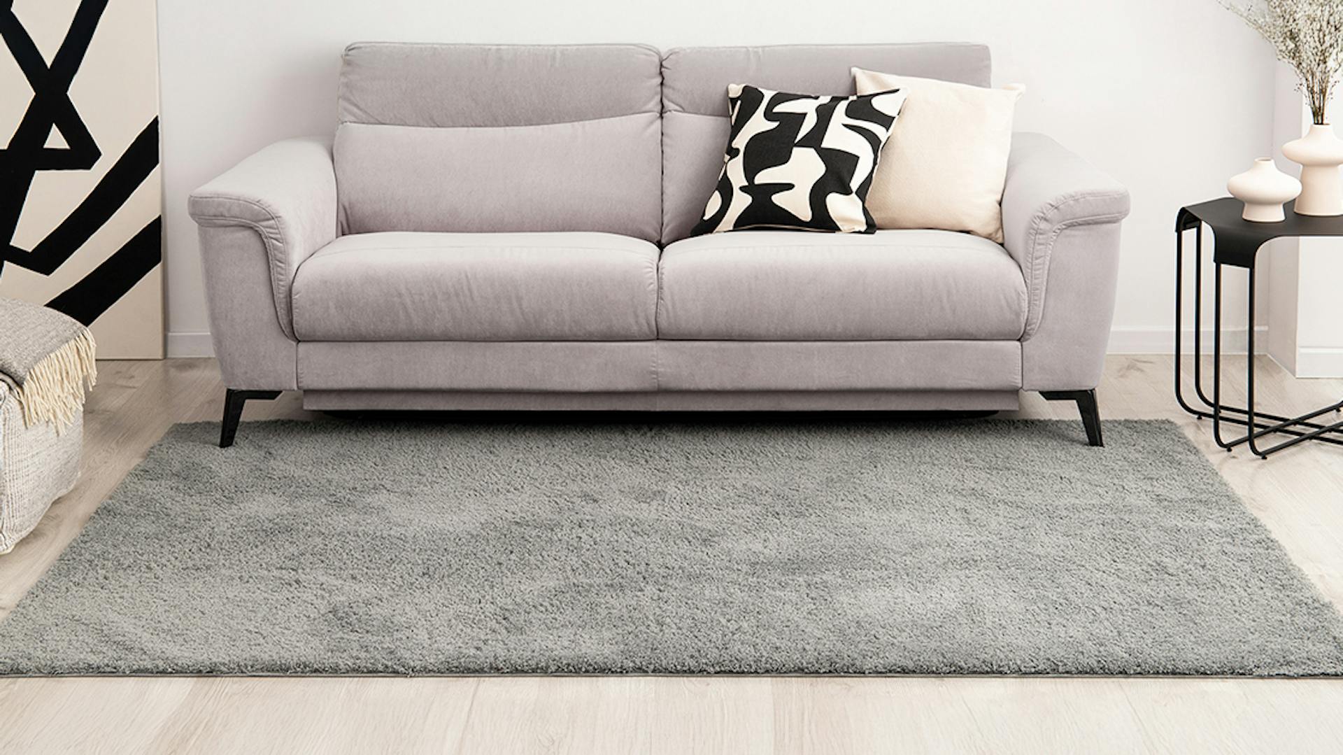 Hochflorteppich wird mit einem Staubsauger gereinigt.