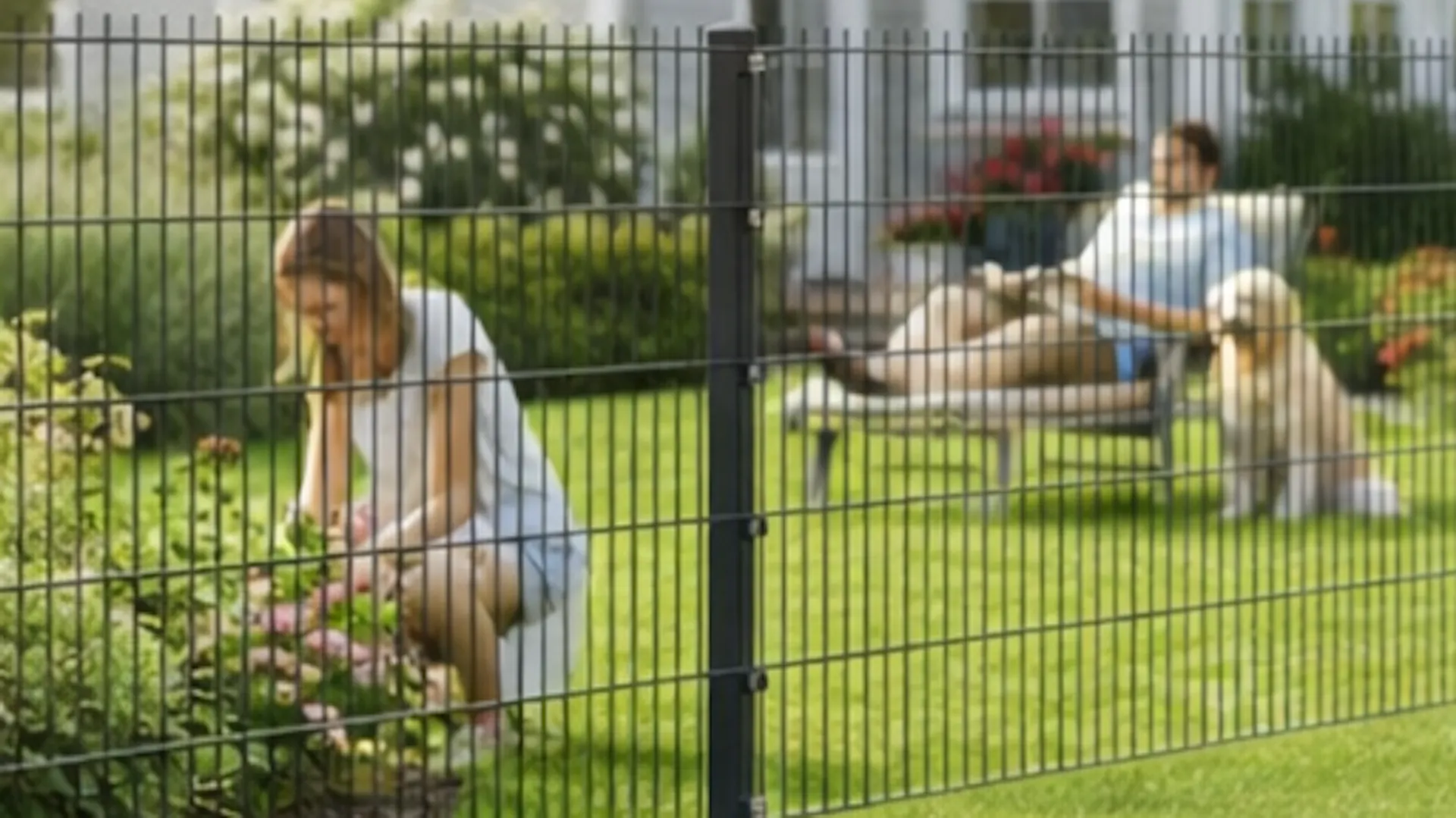 Doppelstabmattenzaun im Garten mit grauem Haus, Frau pflanzt im Beet, Mann mit Hund auf dem grünen rasen