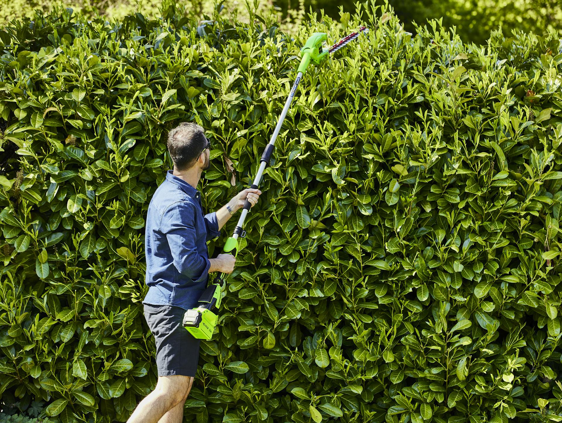 Greenworks Heckenschere