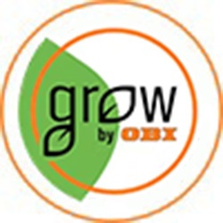 GROW by OBI Birkenfeige Jutestamm Topf  ca. 12 cm Ficus Benjamin kaufen  bei OBI