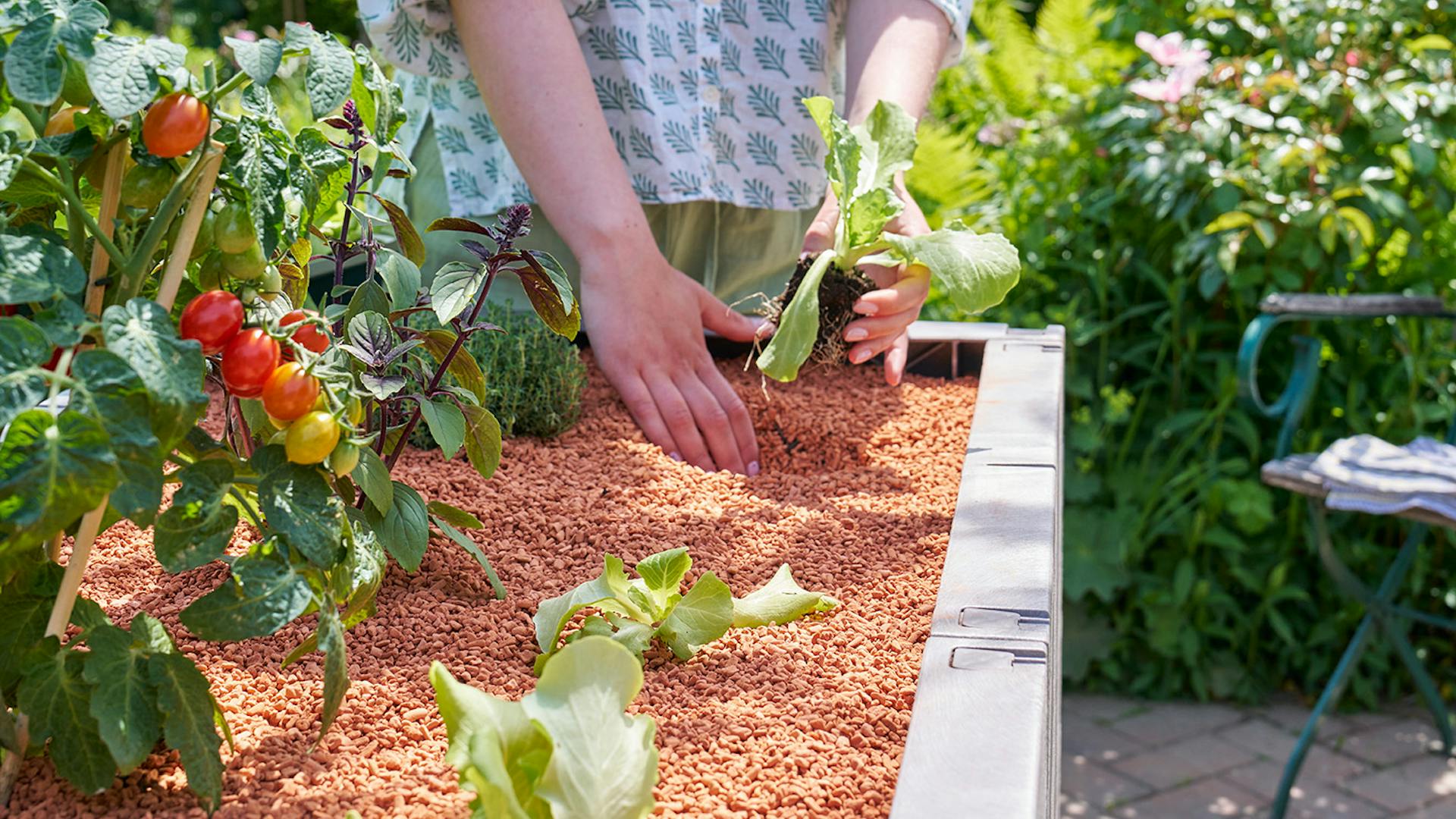 Seramis Pflanzgranulate für Gemüsepflanzen