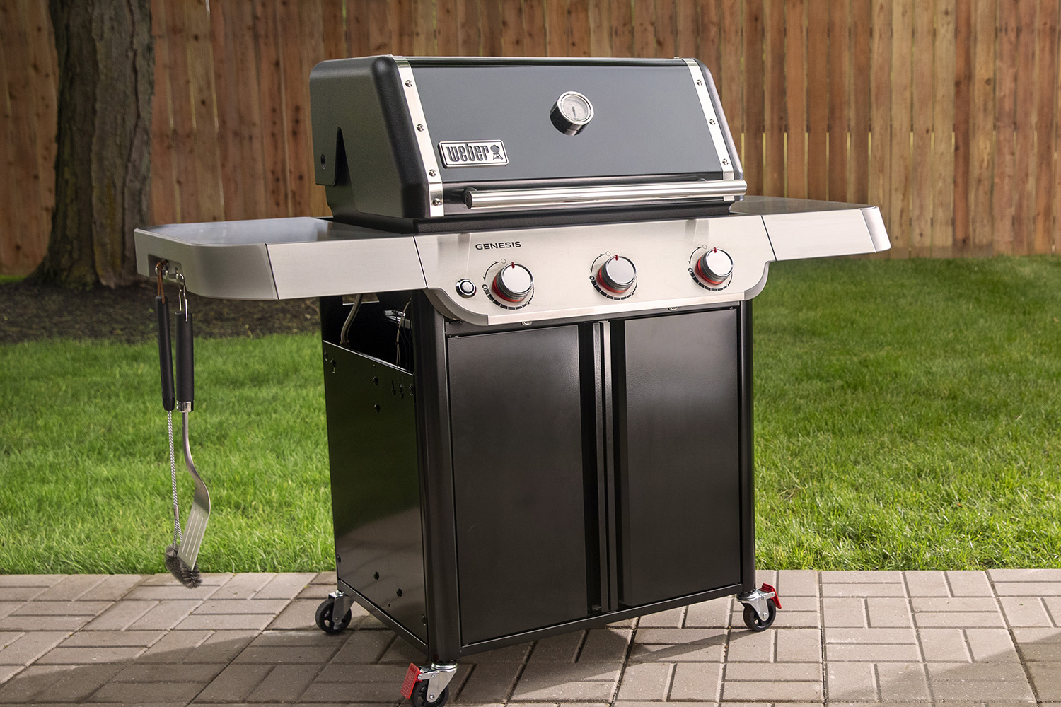 Weber Genesis Gasgrill