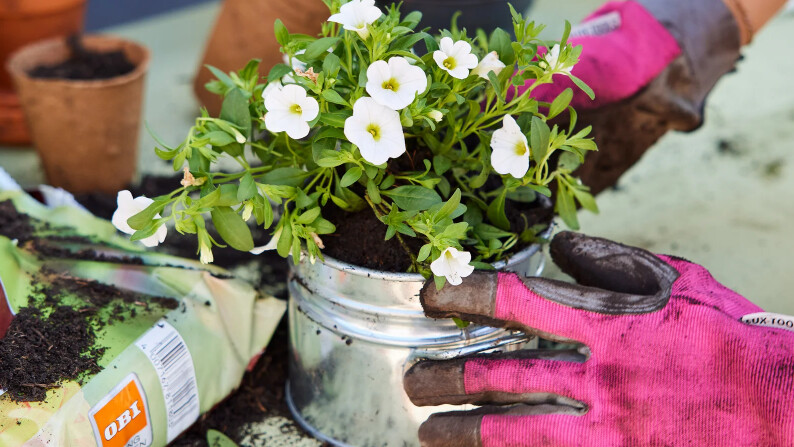 blumenkasten
