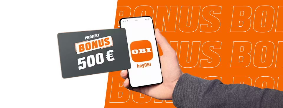 projektbonus logo