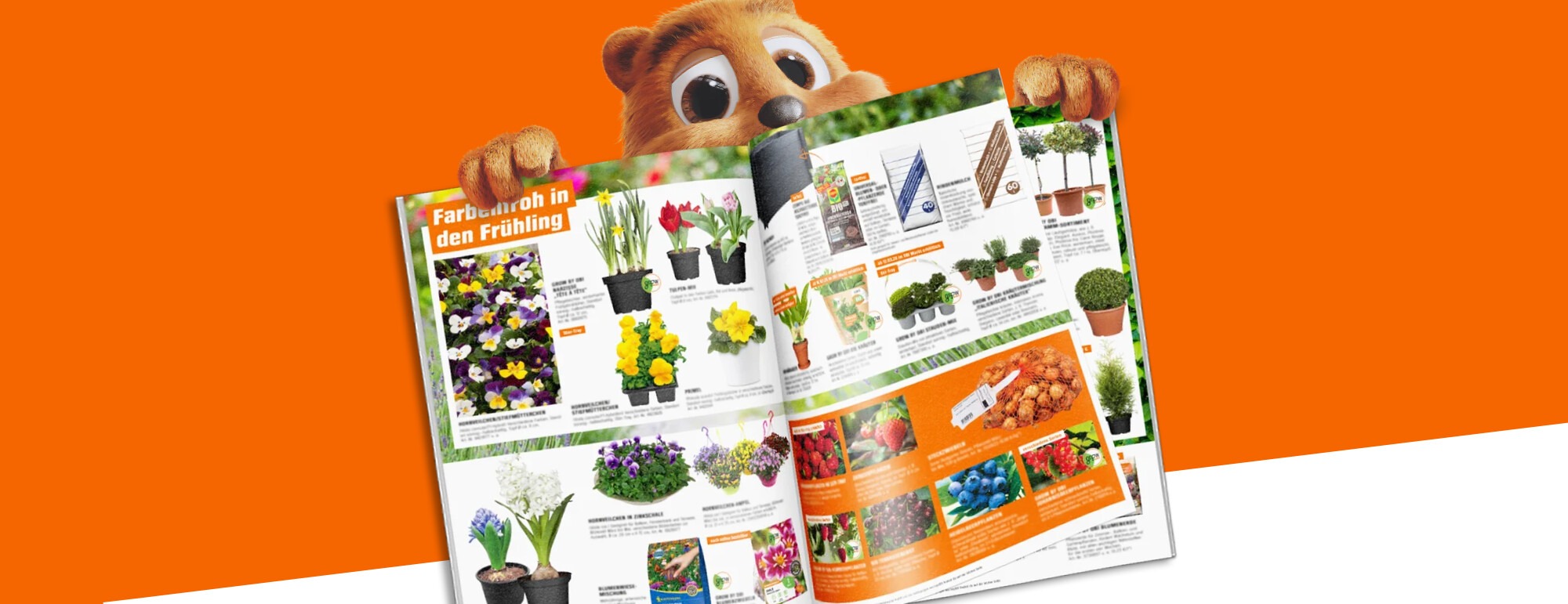 offenes Prospektblatt