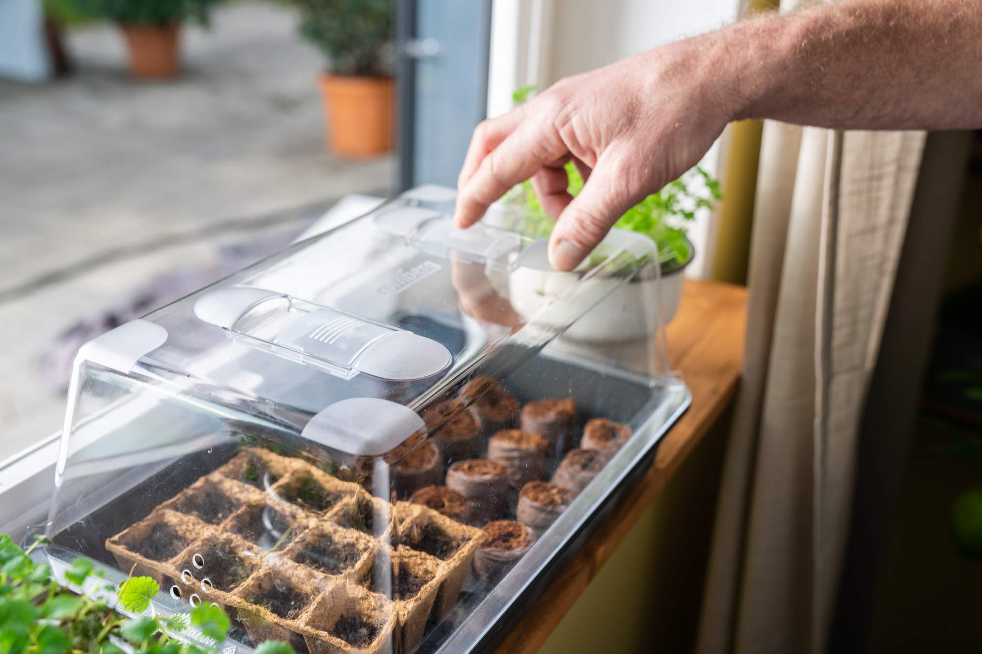 Anzuchtbox mit Quelltabs