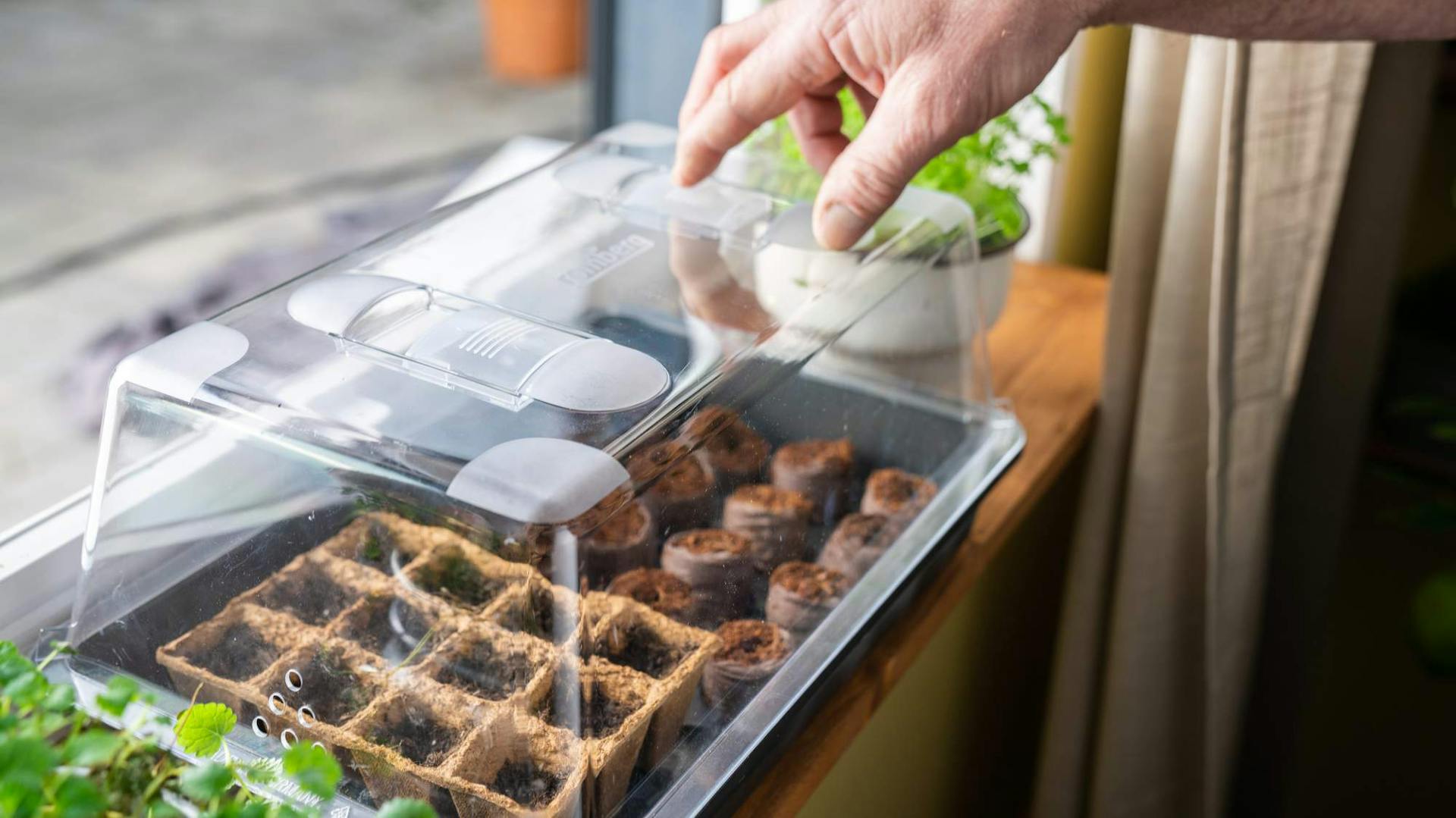 Anzuchtbox mit Quelltabs