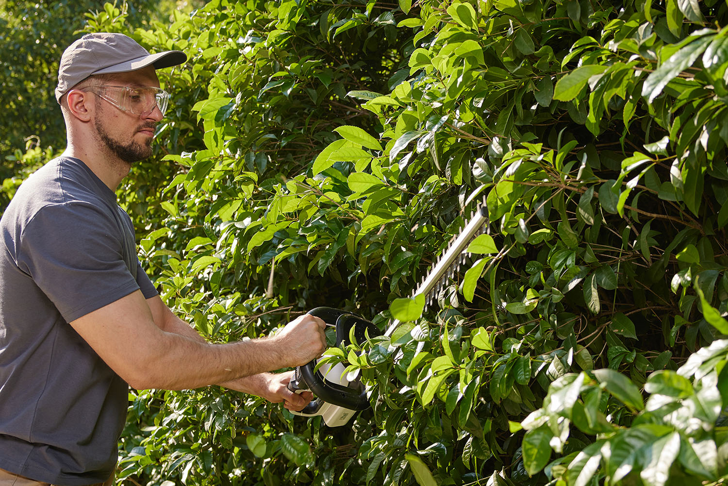 Mann schneidet Hecke mit Litheli Heckenschere