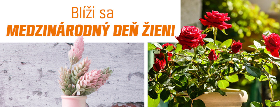 Povedzte to s kvetom