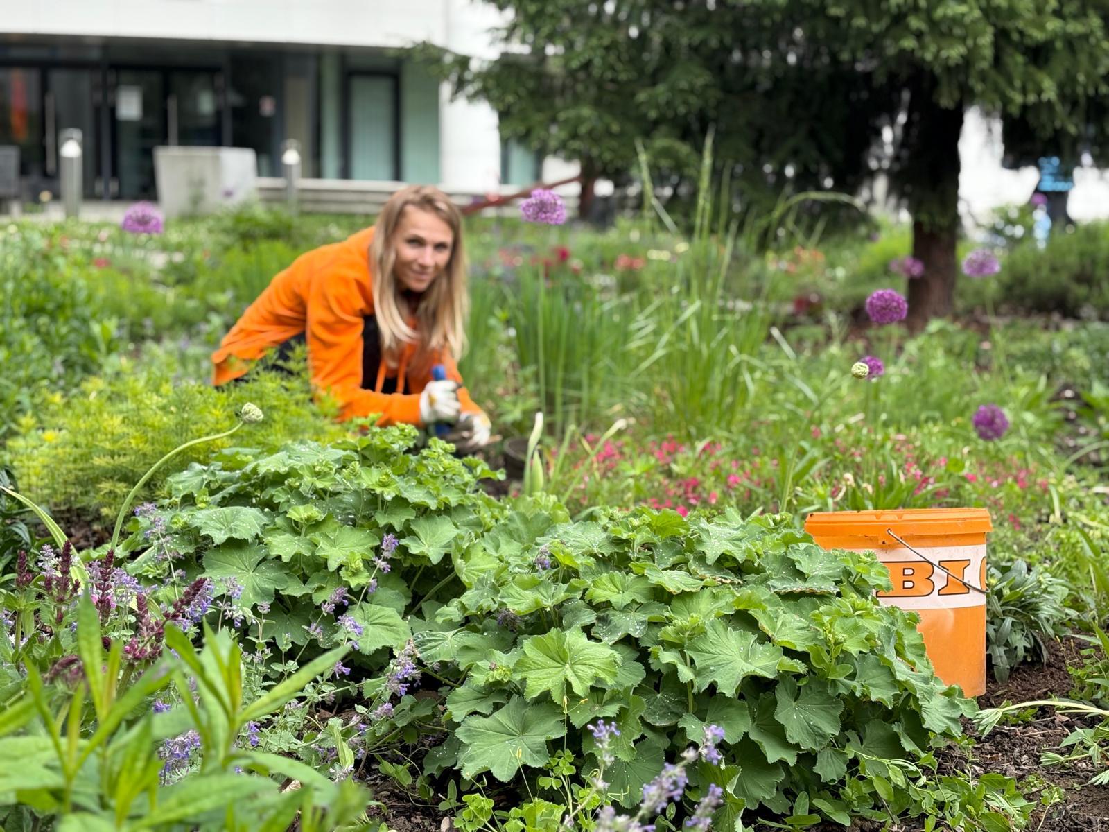 Charta der Vielfalt signiert Logo