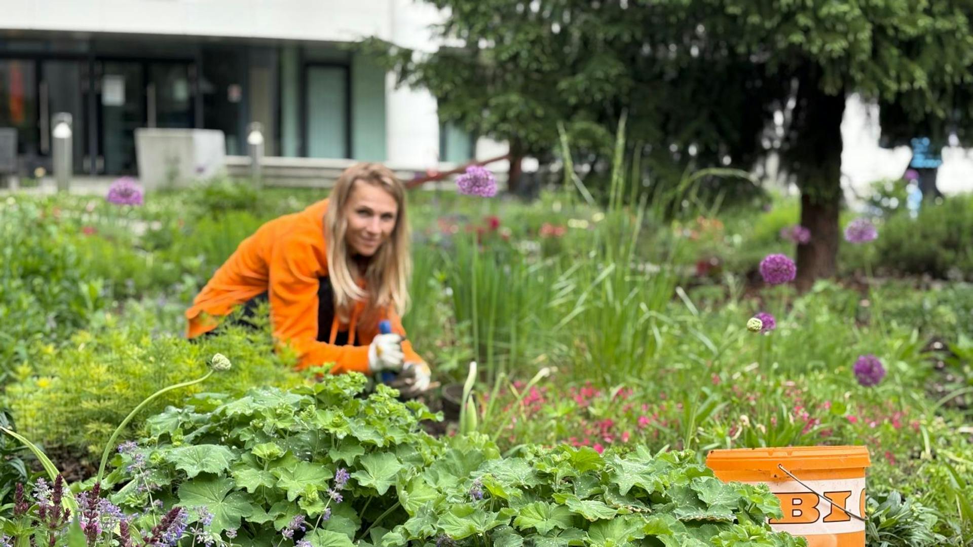 Charta der Vielfalt signiert Logo